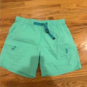 The North Face Men's light Teal shorts